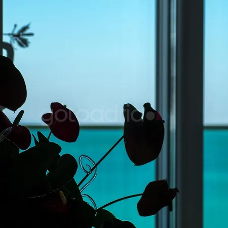 Apartment Penthouse With Private Hottub - Bigblue Makarska